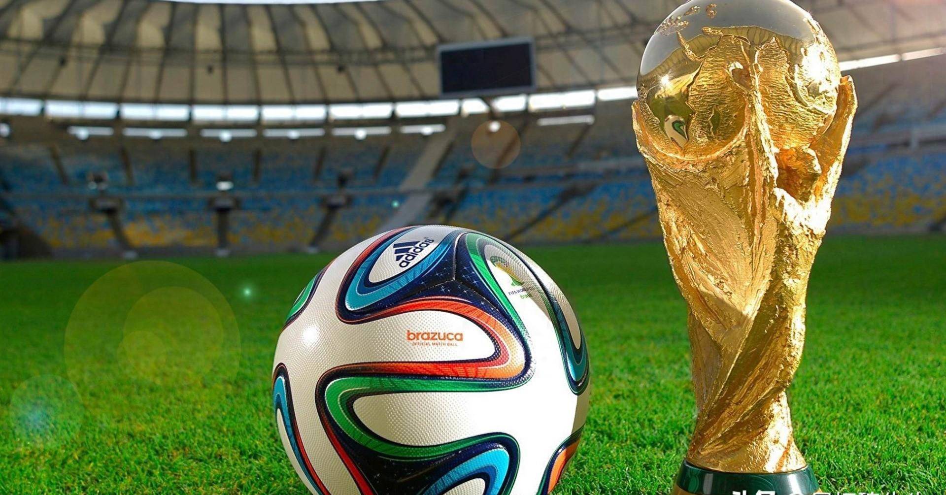 搭建数据看 搭建数据看